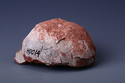 白堊紀恐龍蛋化石(茂名市博物館藏品之二十七)