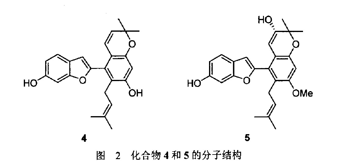 化合物4和5的分子結構