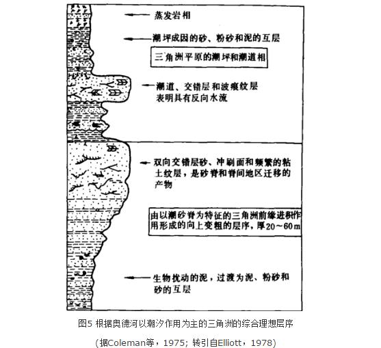 三角洲沉積體系結構