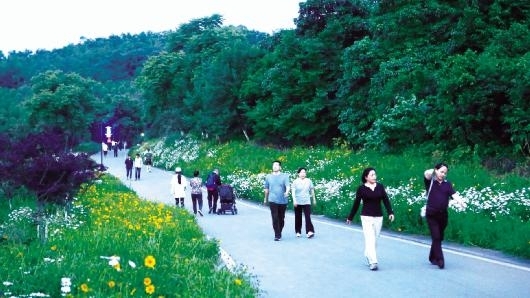 照母山森林公園