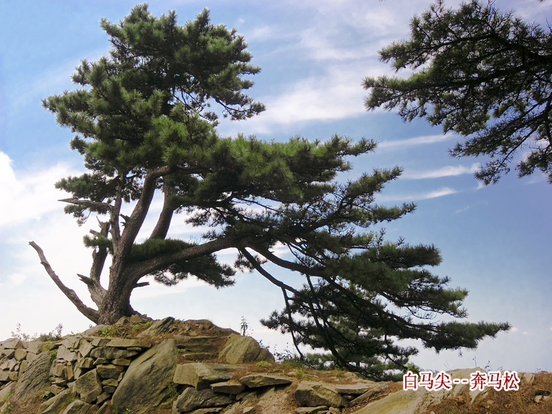 大別山主峰景區