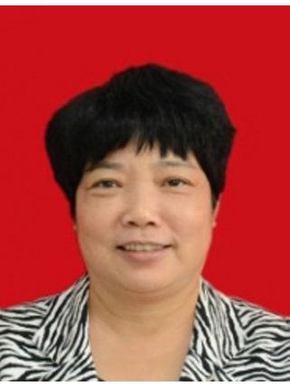 任曉珍(漯河市召陵區人民政府副區長)