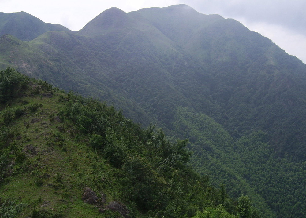 野豬嶂