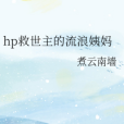 hp救世主的流浪姨媽