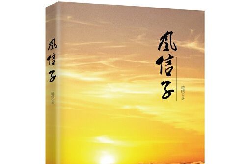 風信子(2017年電子工業出版社出的圖書)