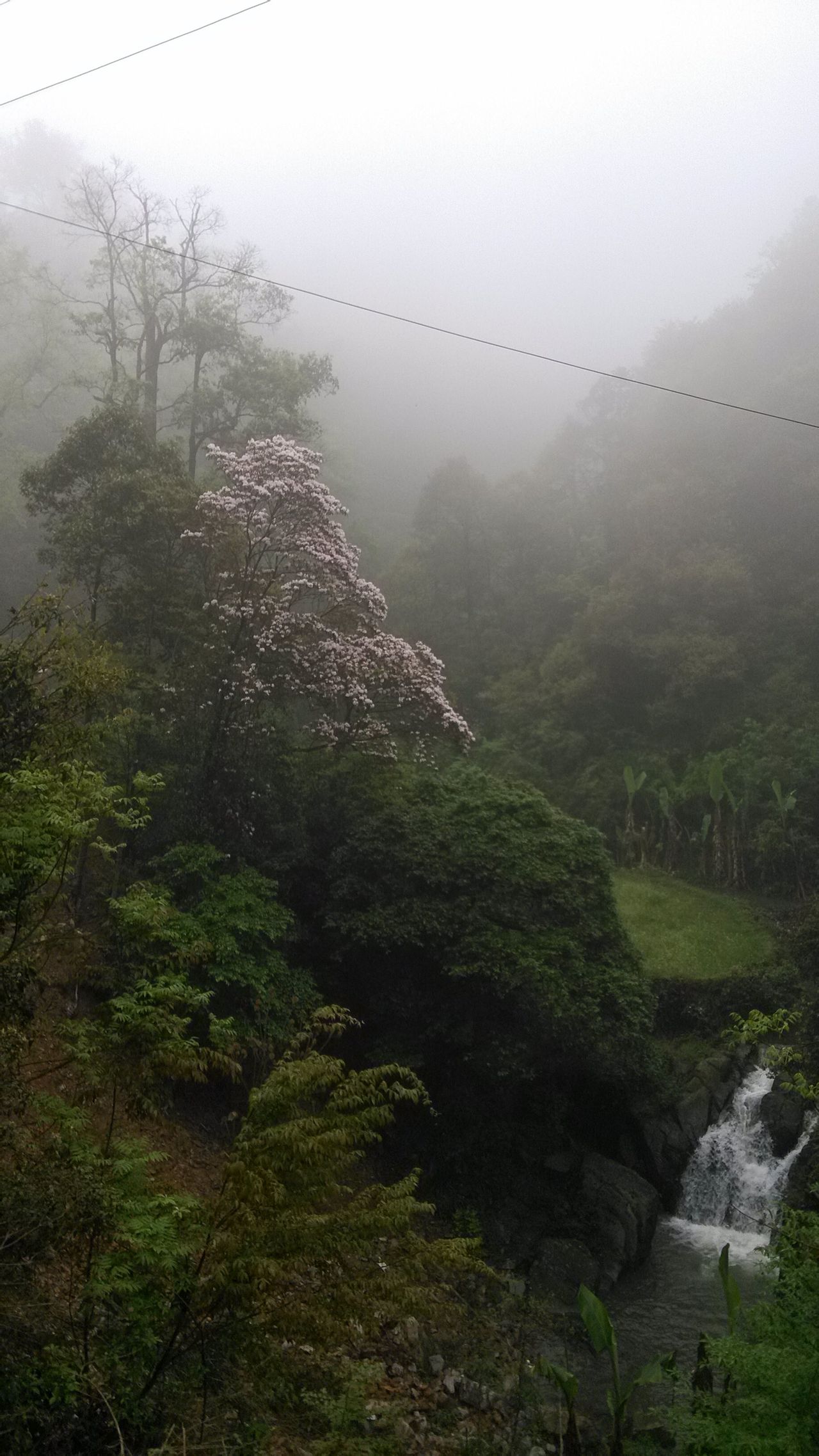 華洞村