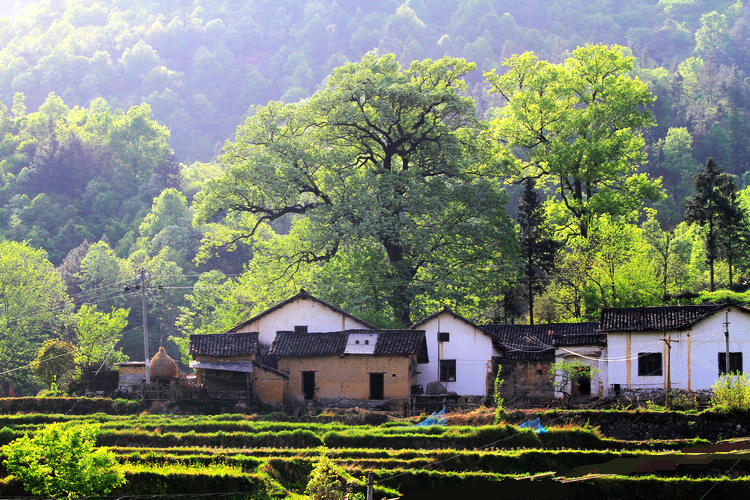 小瓦山