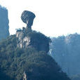 美女峰國家森林公園