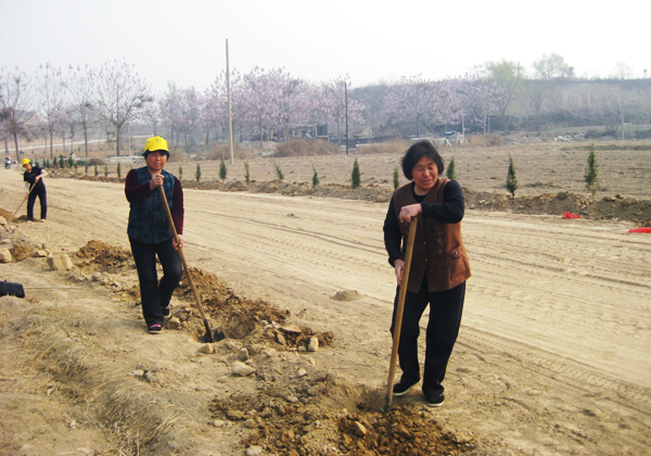 村民植樹造林