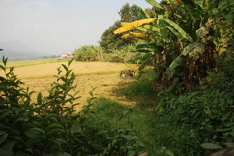 黑龍塘自然村(雲南耿馬縣孟定鎮下轄村)