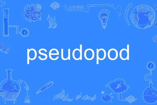 pseudopod