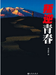 叛逆青春(2013年九州出版社出版的圖書)