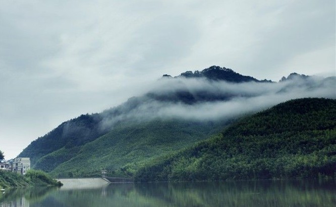 百里竹海