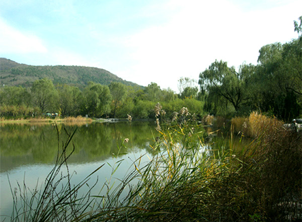 亦新郊野公園