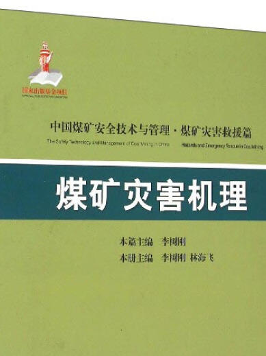 中國煤礦安全技術與管理：煤礦災害機理