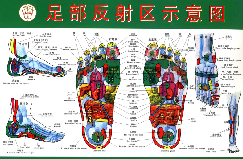 足反射療法 穴位