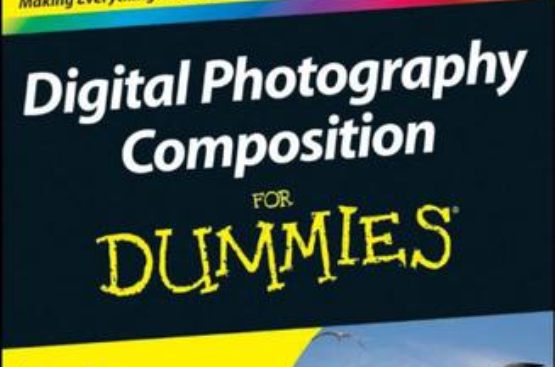 Digital Photography Composition For Dummies