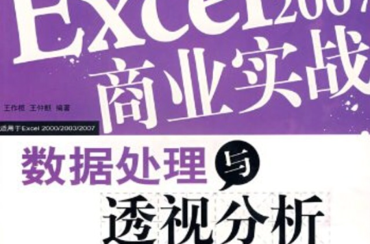 Excel2007商業實戰數據處理與透視分析