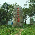 九曲河濕地公園