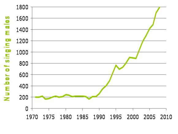 逾37年黑紋背林鶯雄性的數量的增長