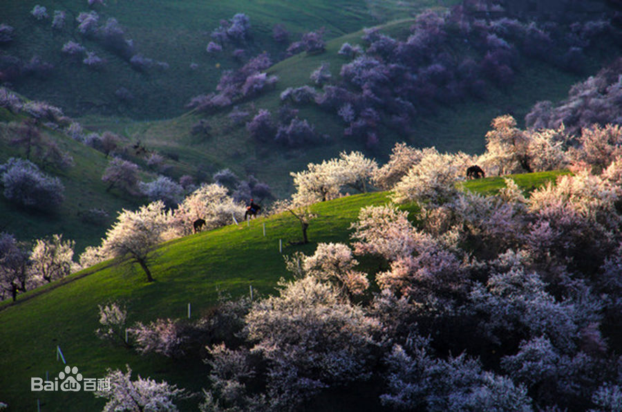 杏花山(河南省鎮平縣)