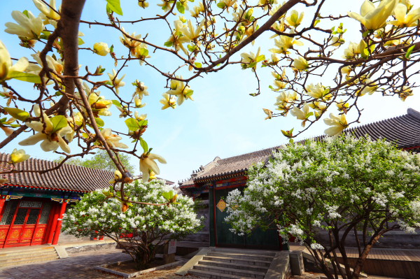 恭王府及花園(北京恭王府)