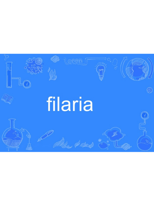 filaria