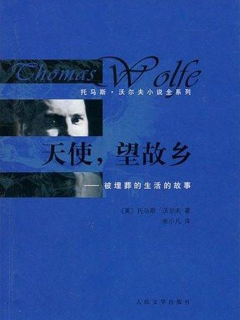 天使，望故鄉(2011年人民文學出版社出版的圖書)