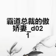 霸道總裁的傲嬌妻_d021