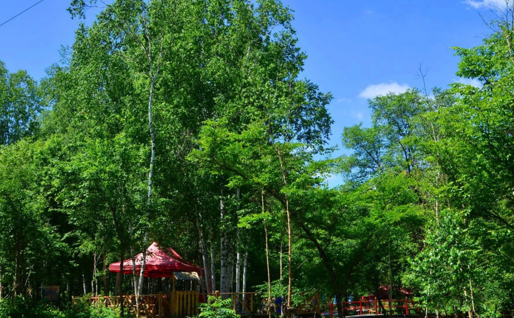 黑龍江夾皮溝國家森林公園