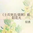 （士兵突擊/袁朗）焰陽花火