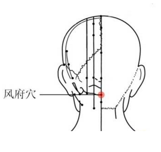 風府穴(舌本)