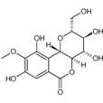 岩白菜素(用於慢性支氣管炎)