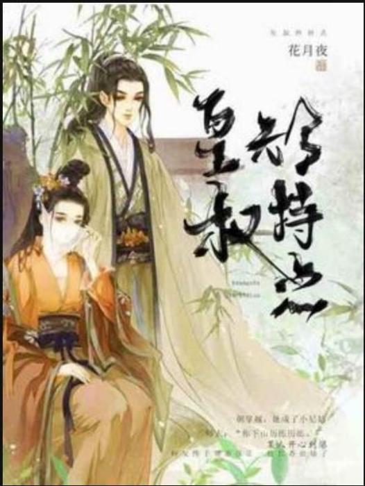 皇叔矜持點(花月夜所著小說)