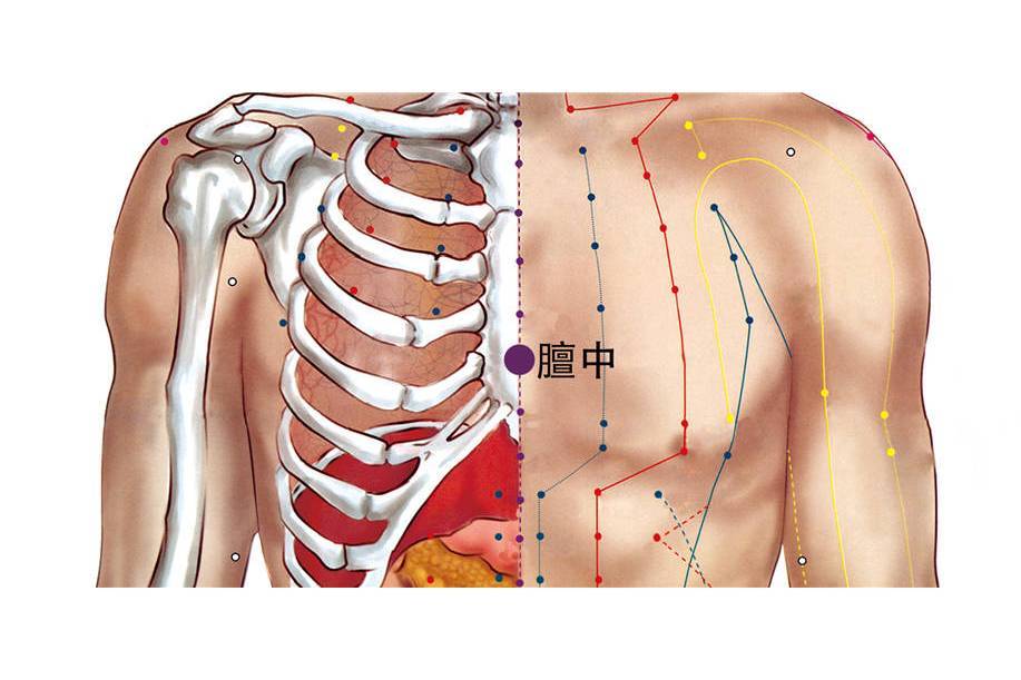 膻中(胸堂)