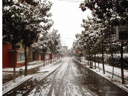 校園雪景