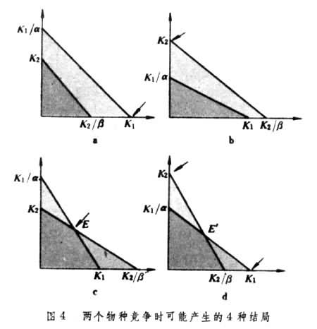 種群動態模型