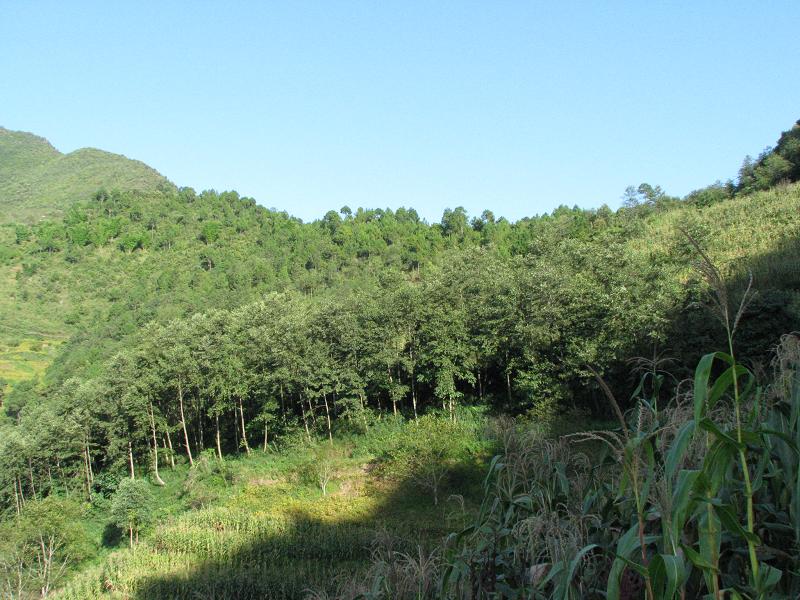 下馬蹄山村