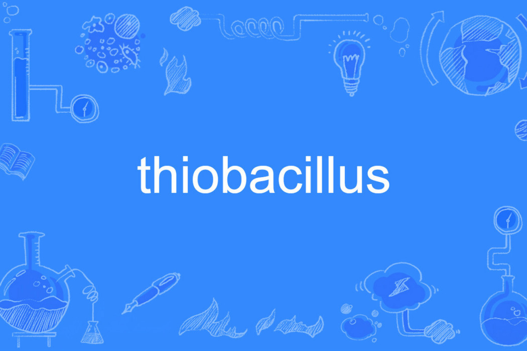 thiobacillus