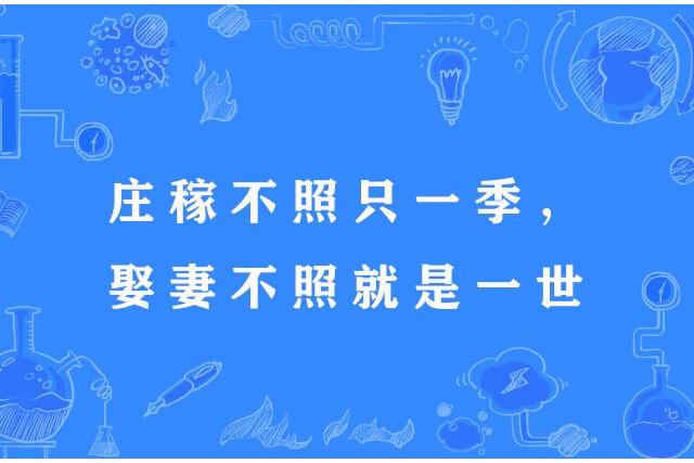 莊稼不照只一季，娶妻不照就是一世