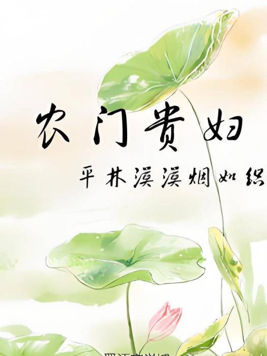 農門貴婦(平林漠漠煙如織創作的網路小說)