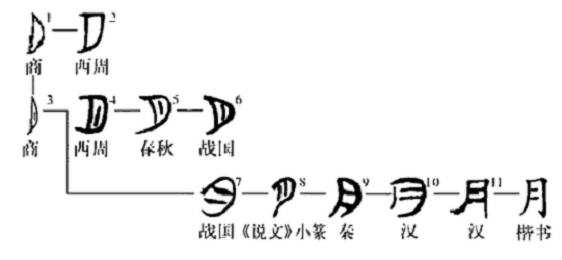 月 漢語漢字 字源演變 詳細釋義 古籍解釋 說文解字 康熙字典 字形書法 字形對 中文百科全書