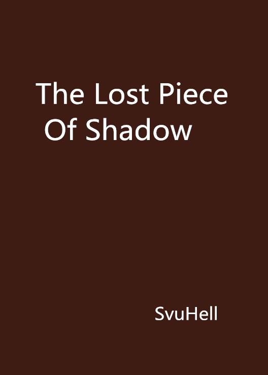 The Lost Piece Of Shadow