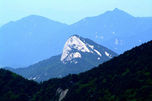 在御隆巔高處遠景