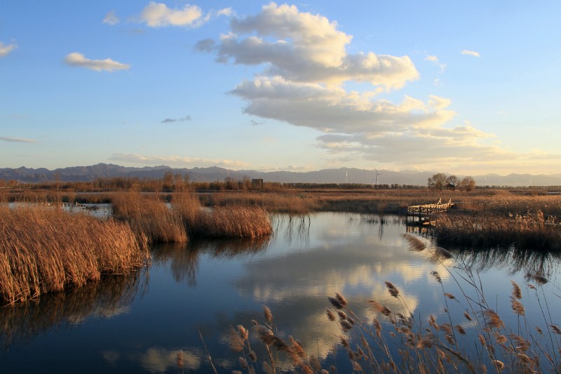 北京野鴨湖國家濕地公園