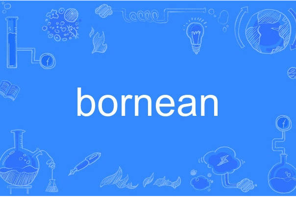 bornean