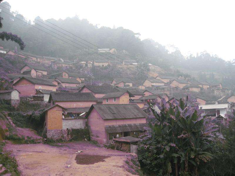 小箐村(雲南省紅河州金平縣沙依坡鄉小箐村)