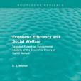 Economic Efficiency and Social Welfare