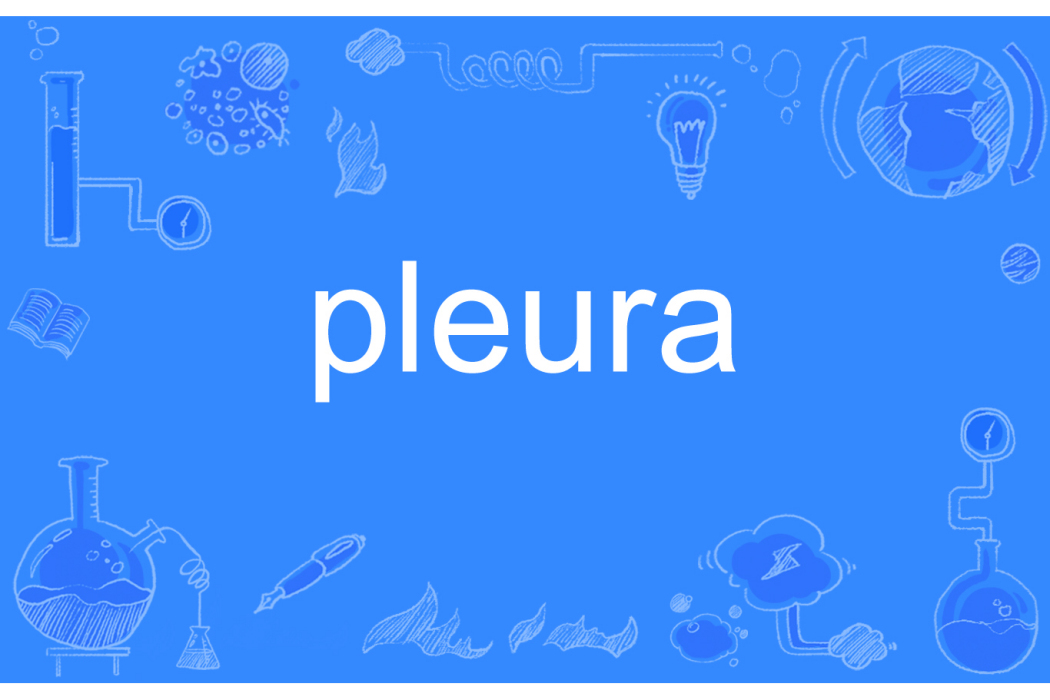 pleura