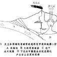 地球化學旋迴